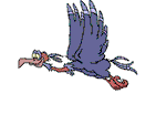geier.gif (13417 Byte)